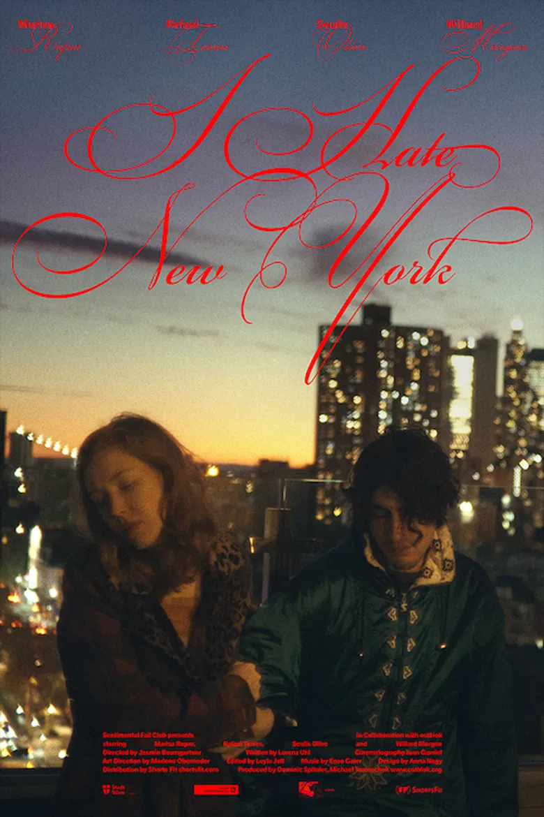 I Hate New York poster background