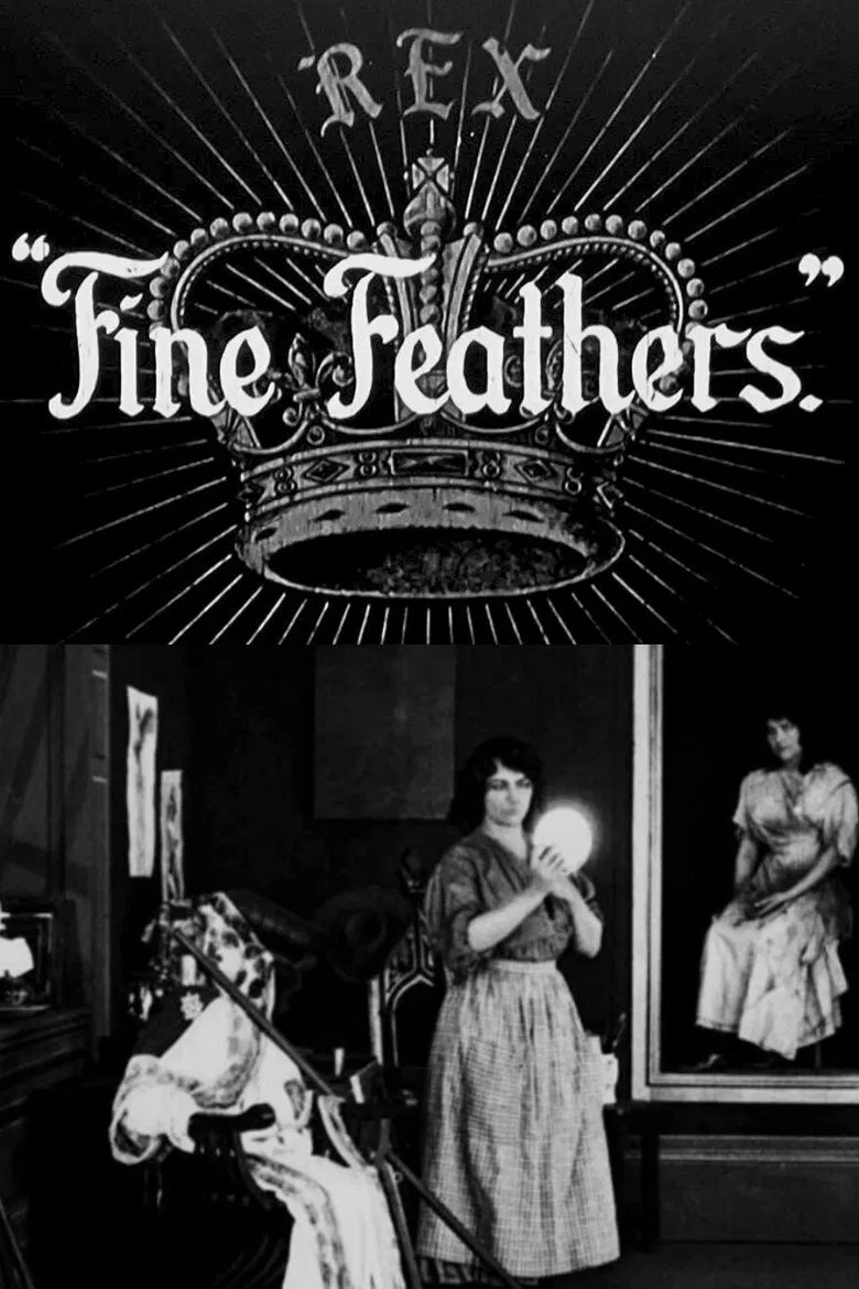 Fine Feathers poster background