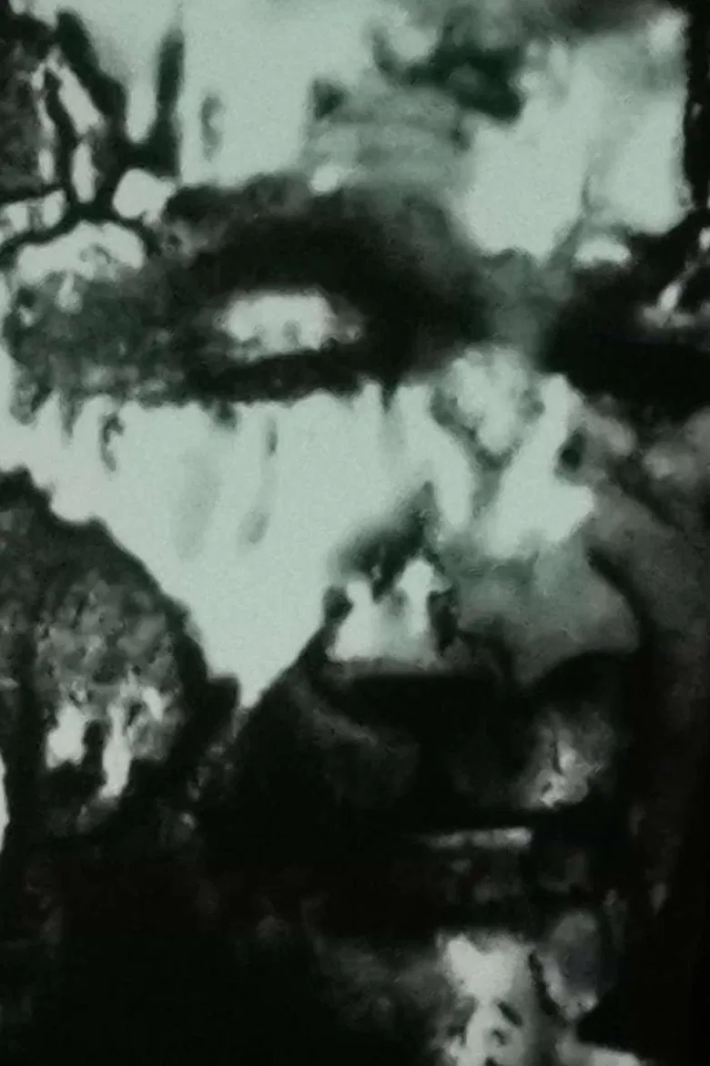 A Simplistic Altar from a Prohibited Film Scene poster background