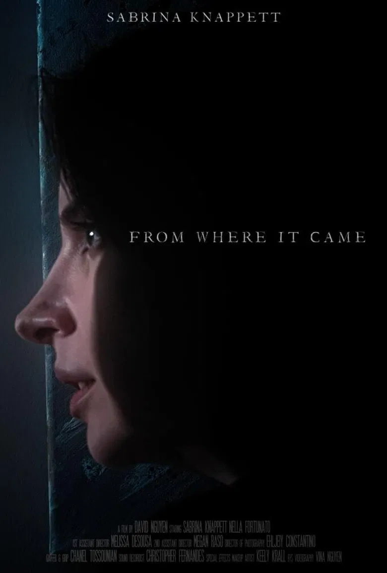 From Where It Came poster background