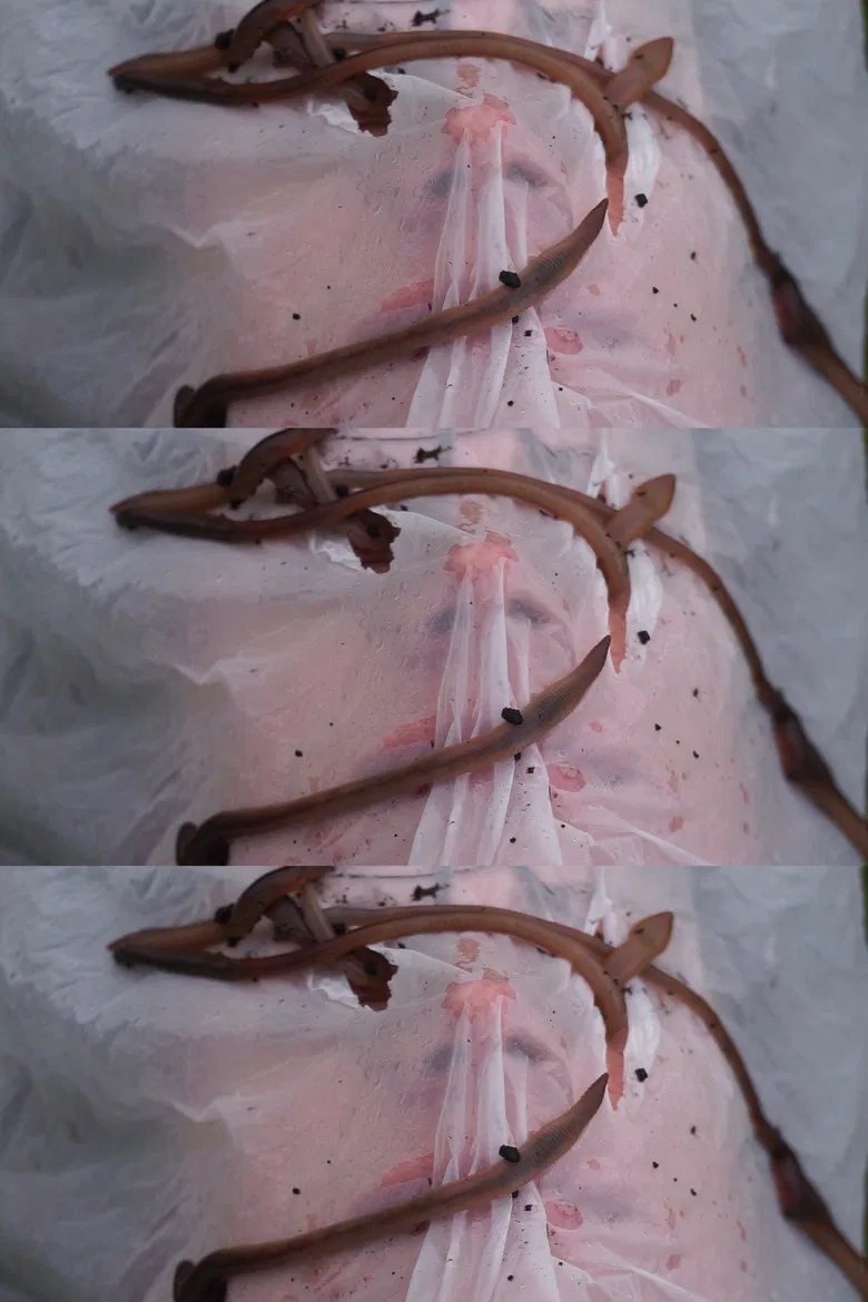 Heat poster background