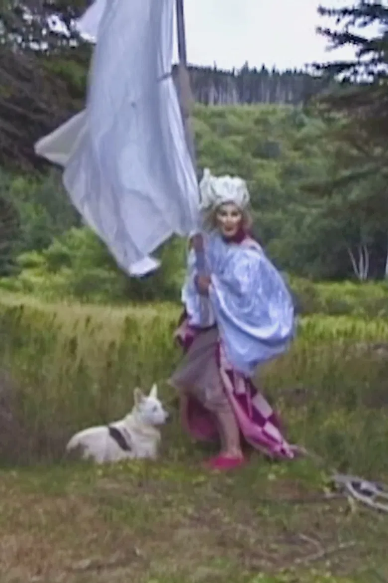 Waltz poster background