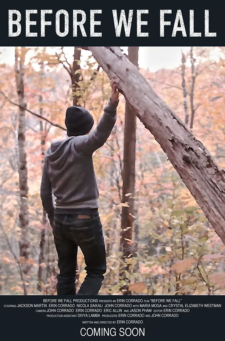 Before We Fall poster background