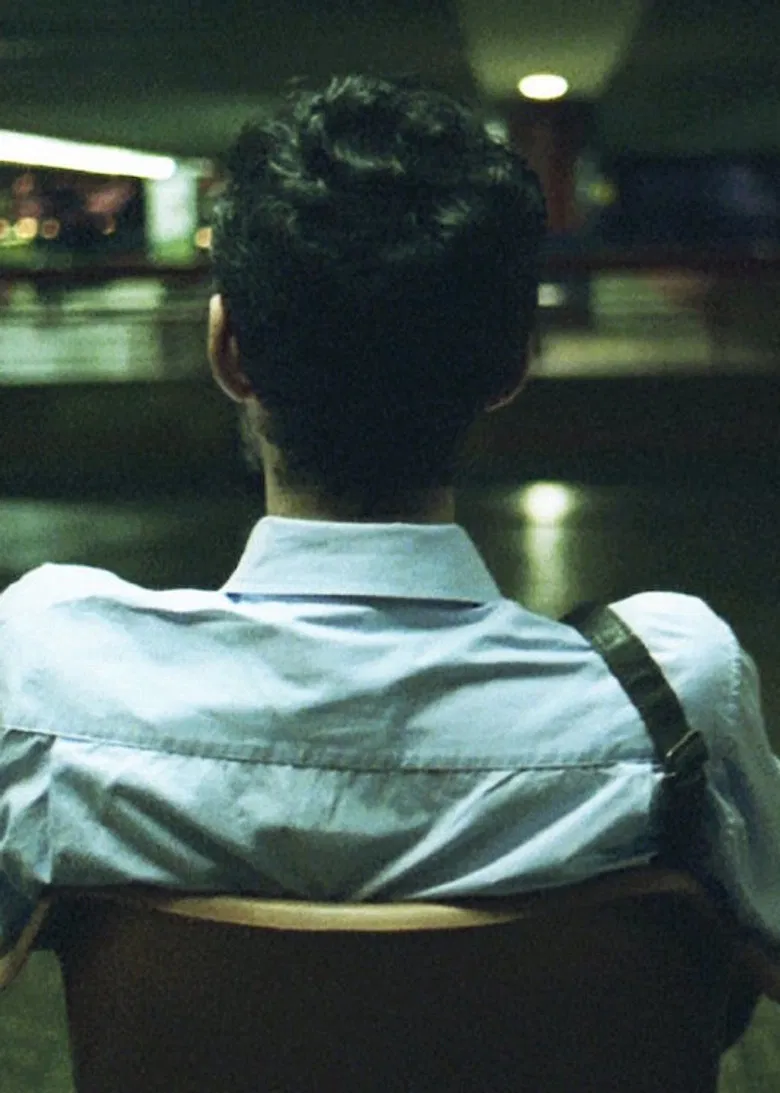 Depois da Queda poster background