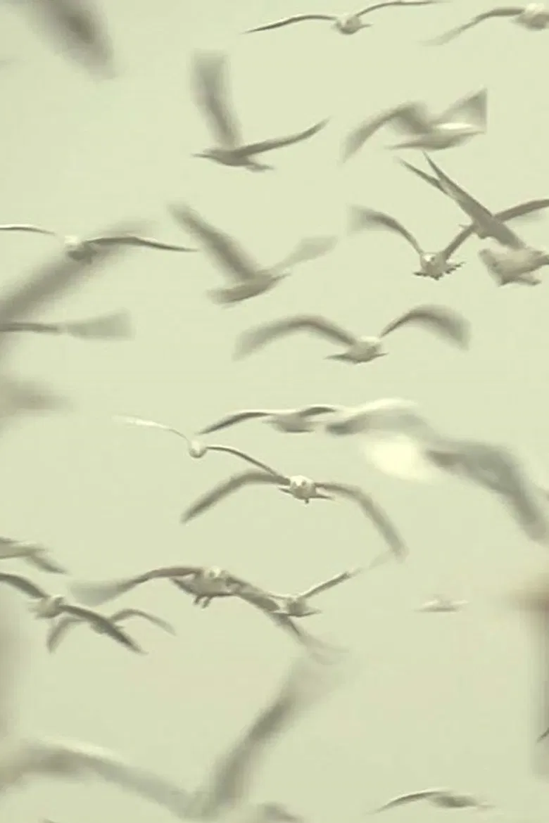 White Trash poster background