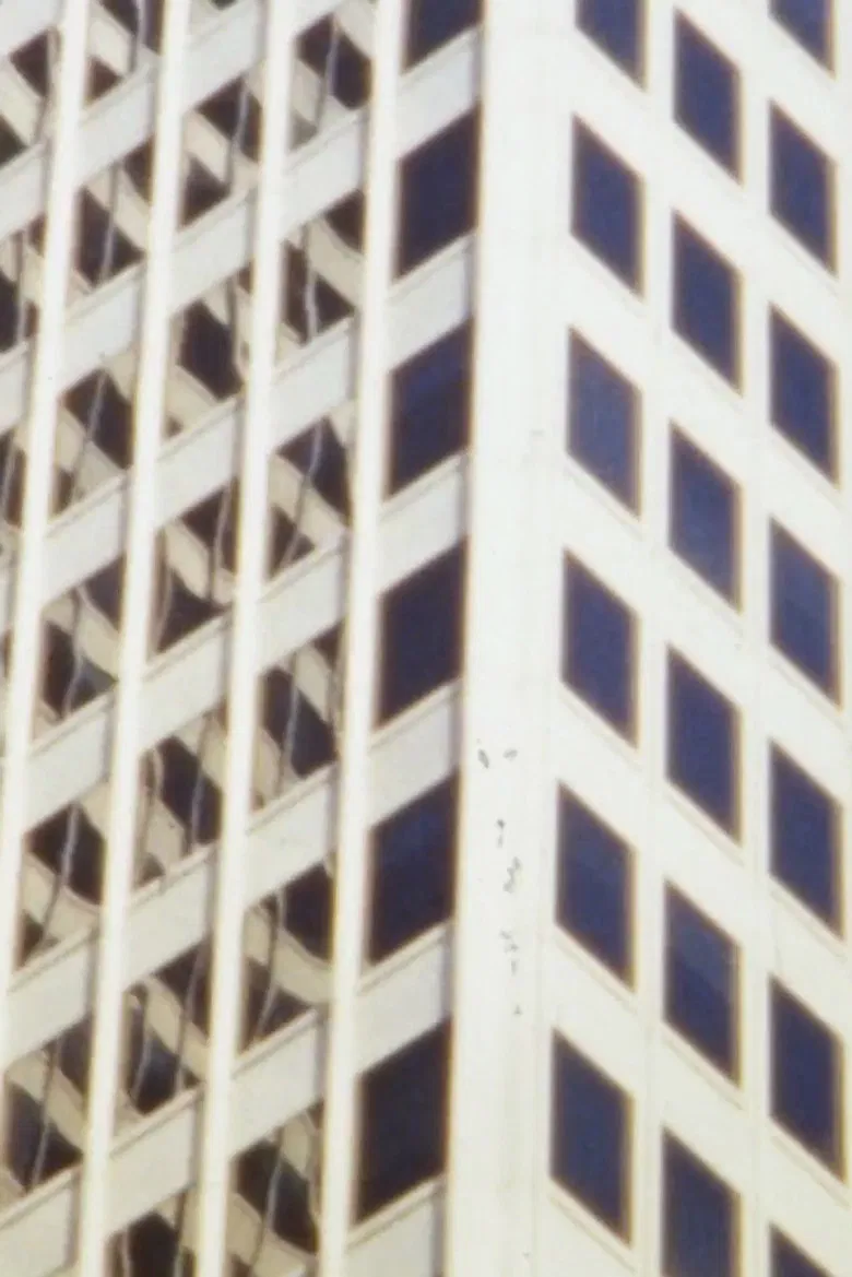 La Grande Dame poster background