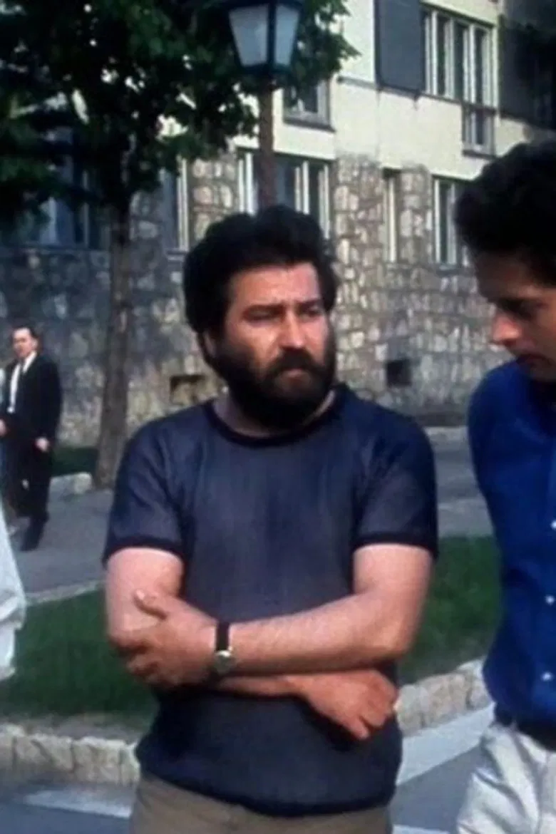 Vivre et filmer en Hongrie poster background