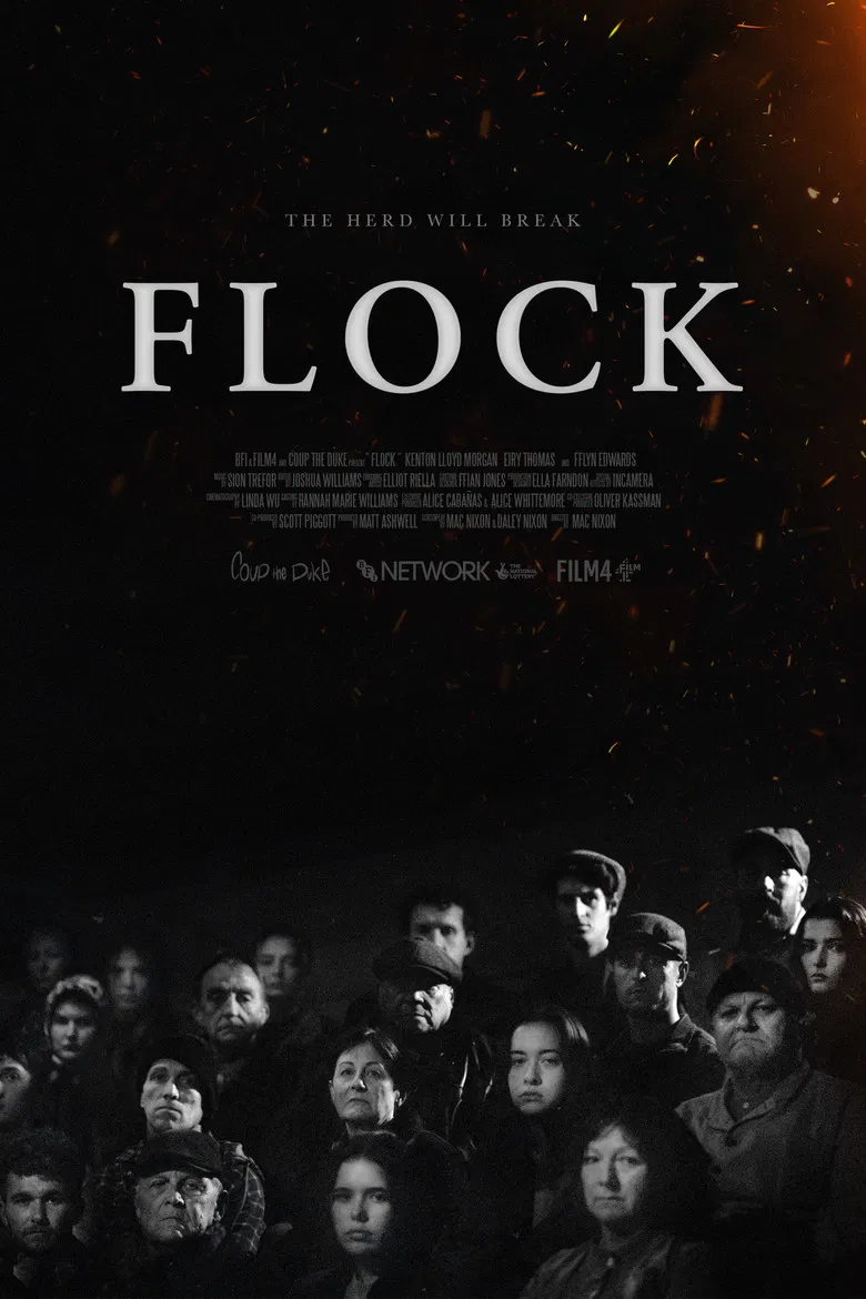 Flock poster background