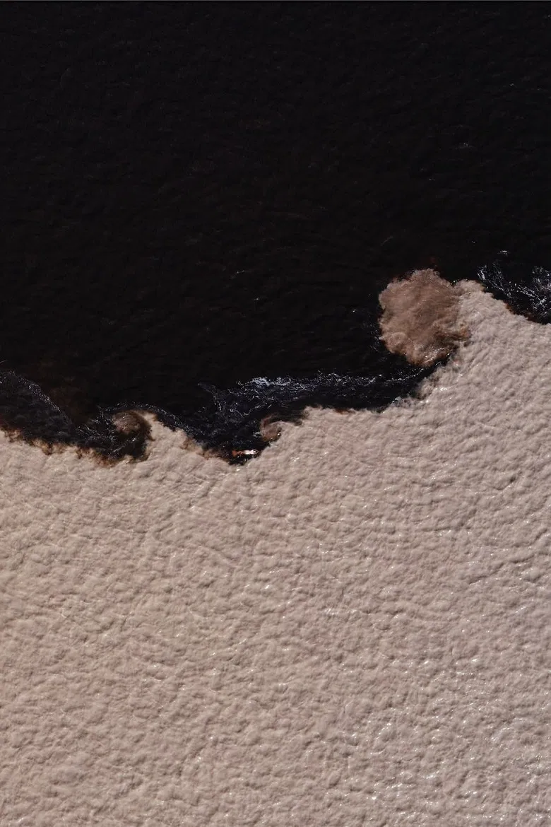 Æqualia poster background