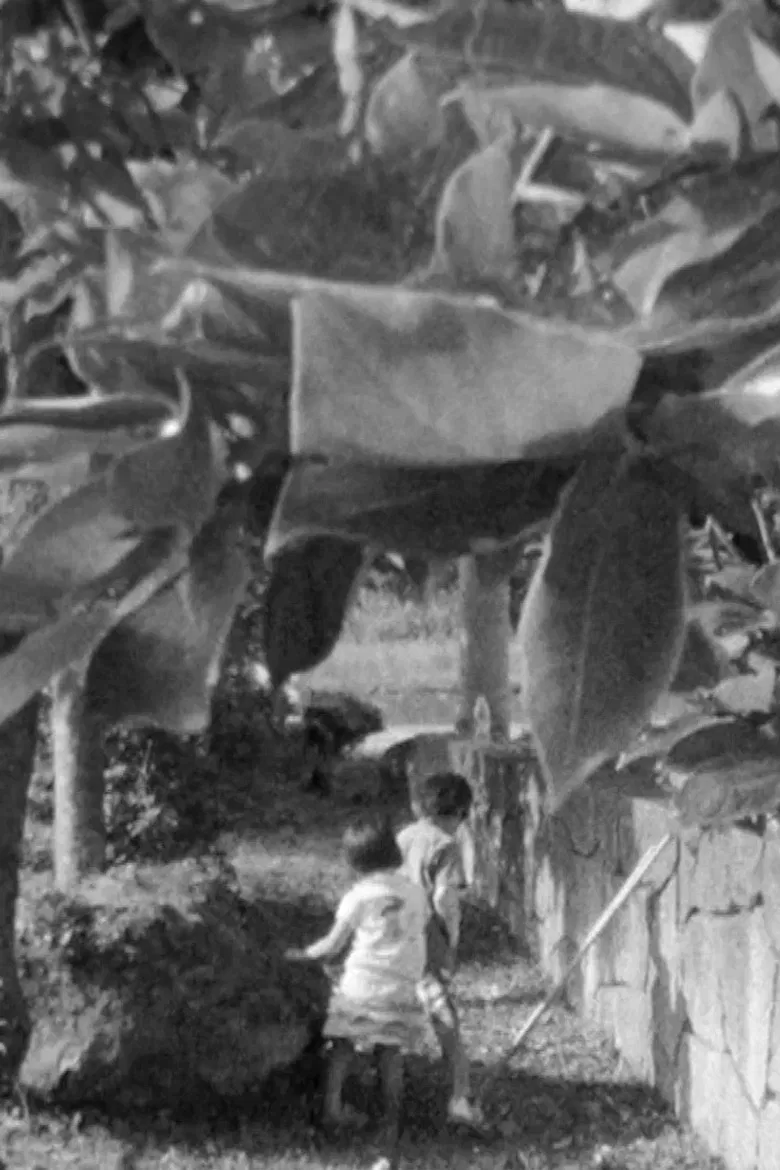 Winter Bees poster background