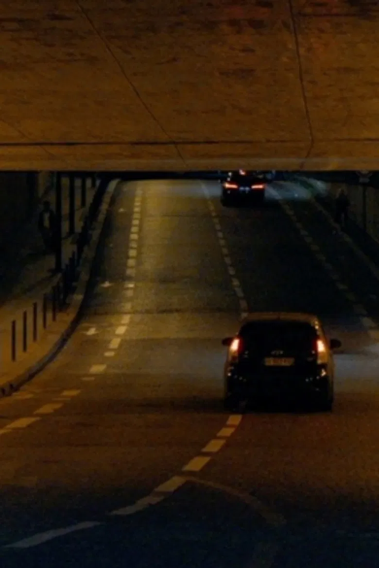 Absolutely No Sexual Favors poster background