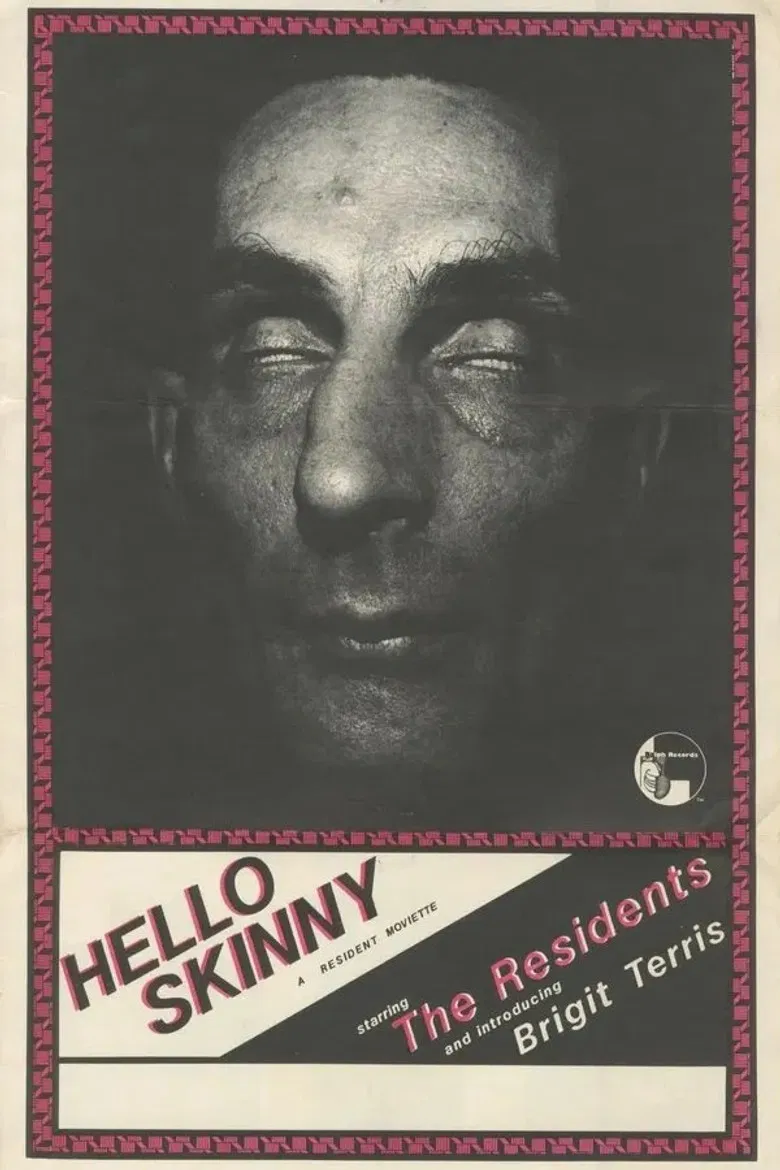 Hello Skinny poster background