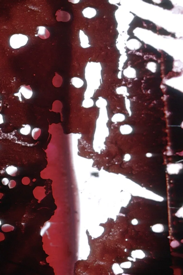 Traces poster background