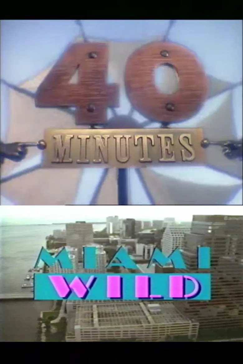 Miami Wild poster background