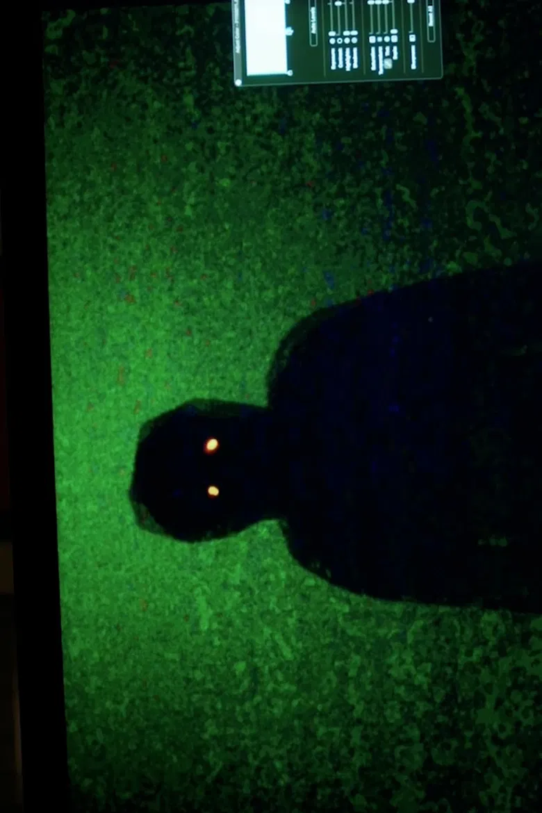 Dektol poster background