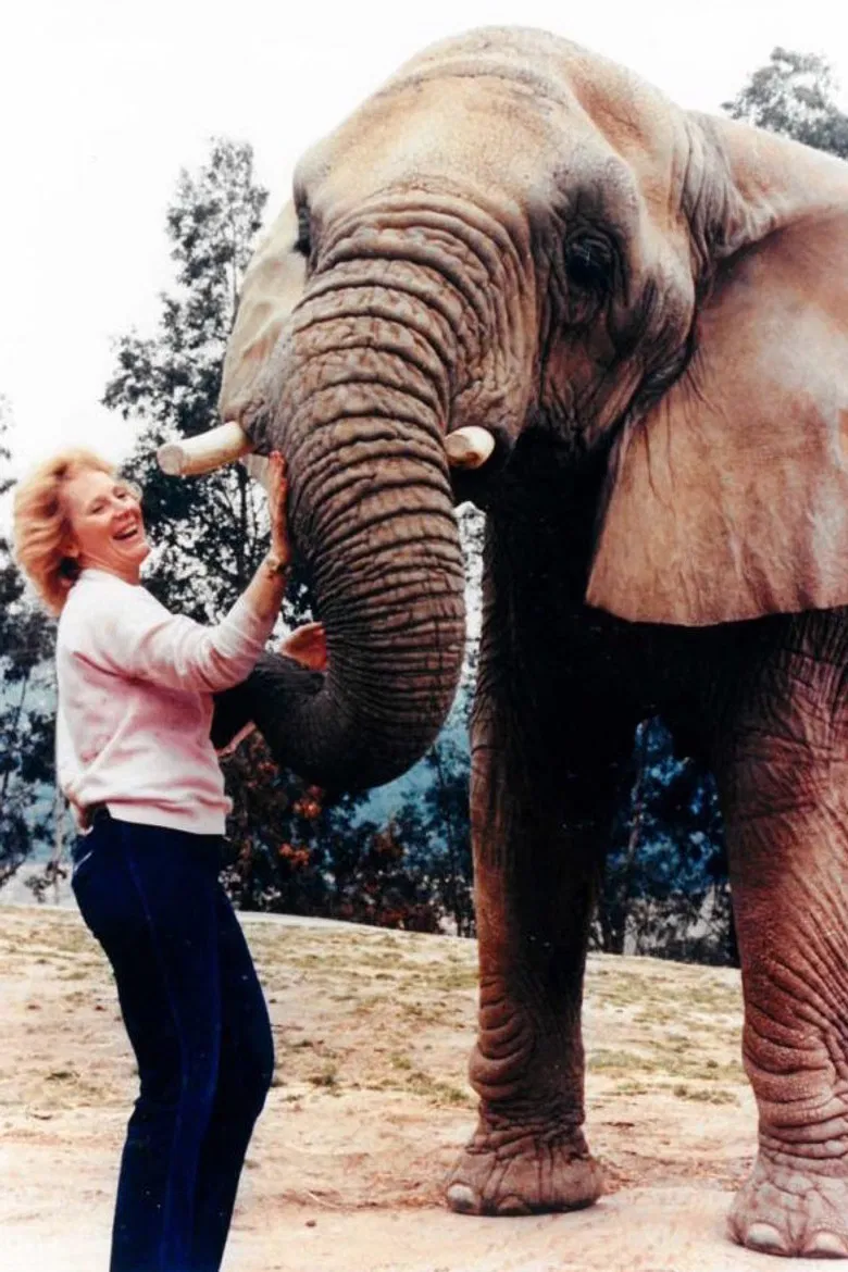 I Talk to Animals poster background