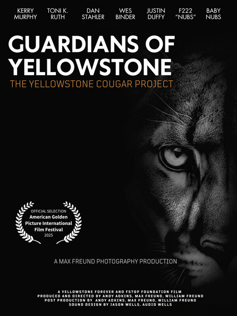 Guardians of Yellowstone: The Yellowstone Cougar Project poster background