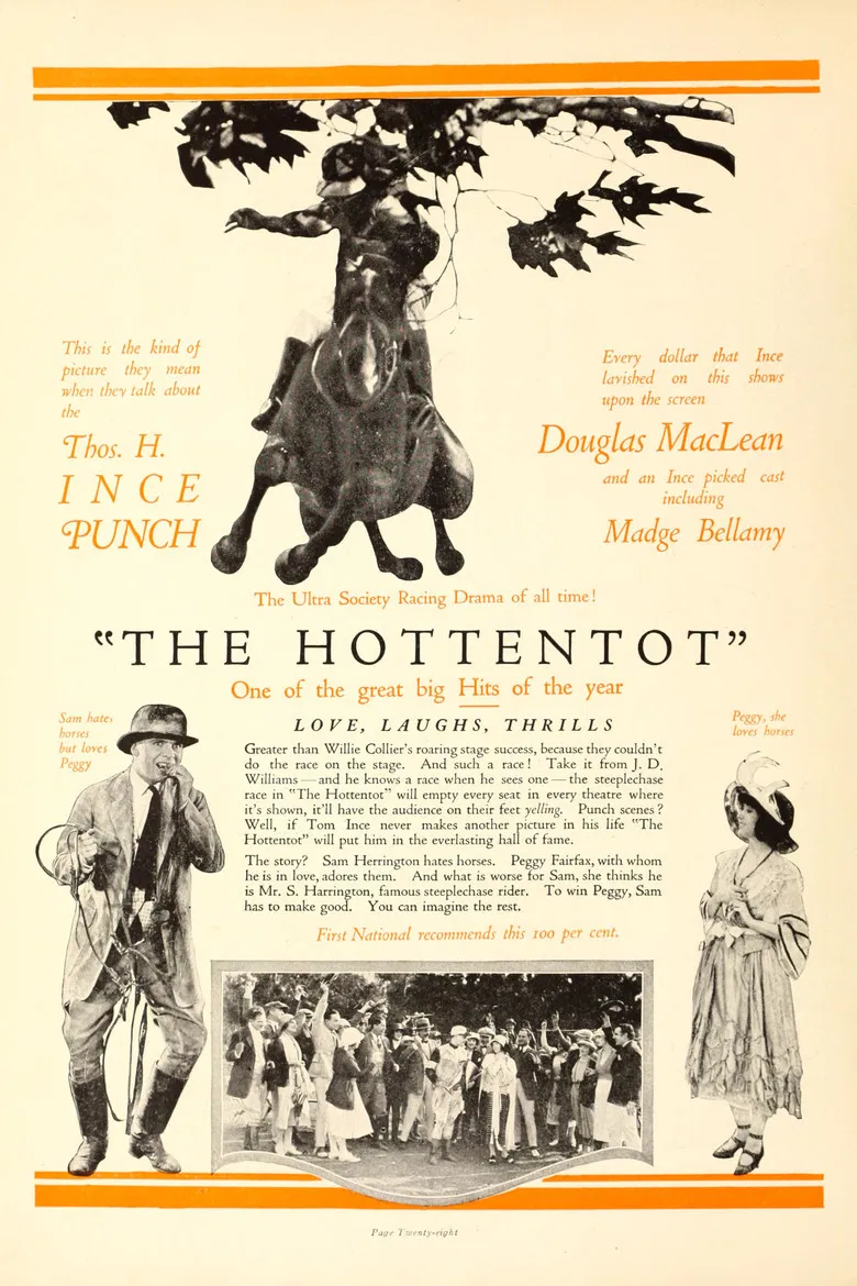 The Hottentot poster background