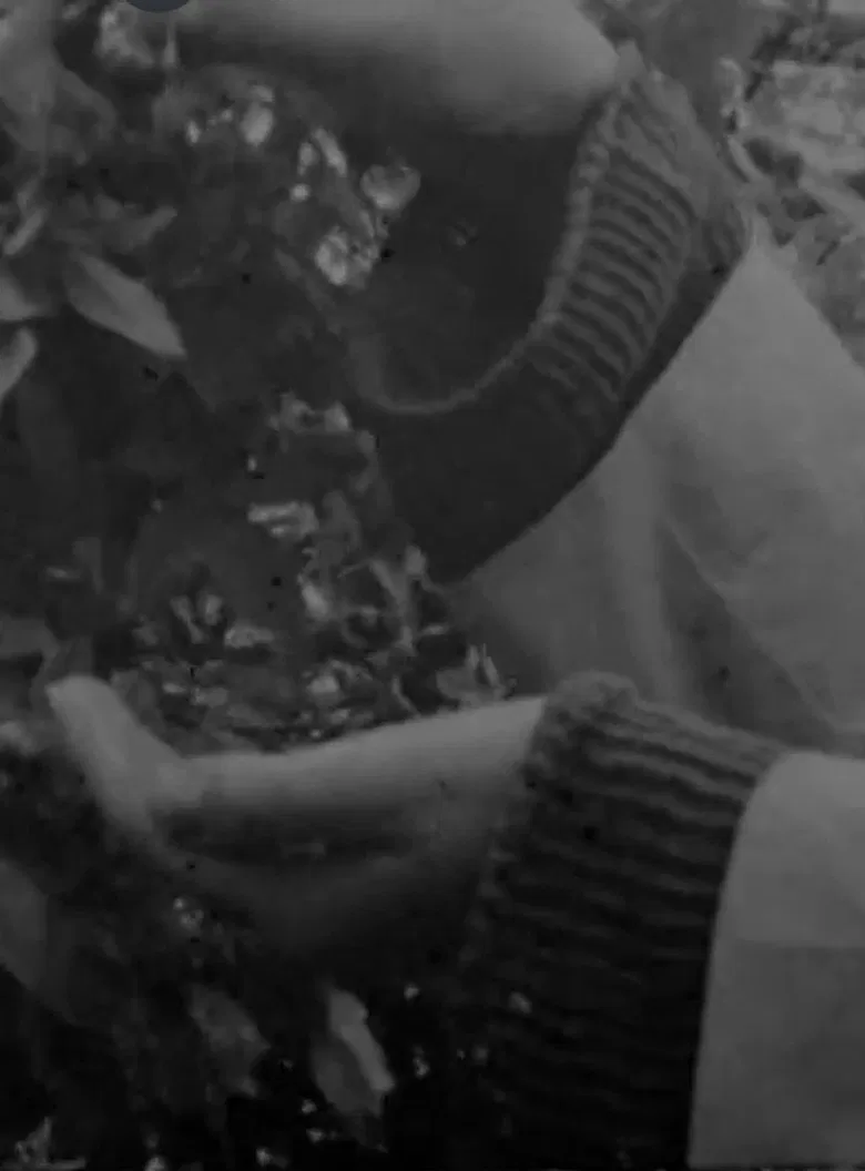 Die Erde überwältigt mich, or When the wing of the swallow opens poster background