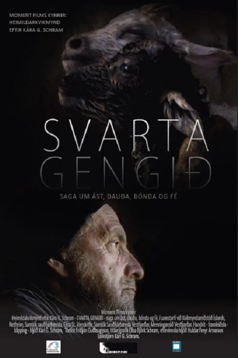 Black Sheep - The Last Symphony for a Sheep poster background