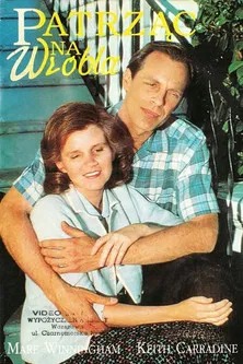 Eye on the Sparrow poster background