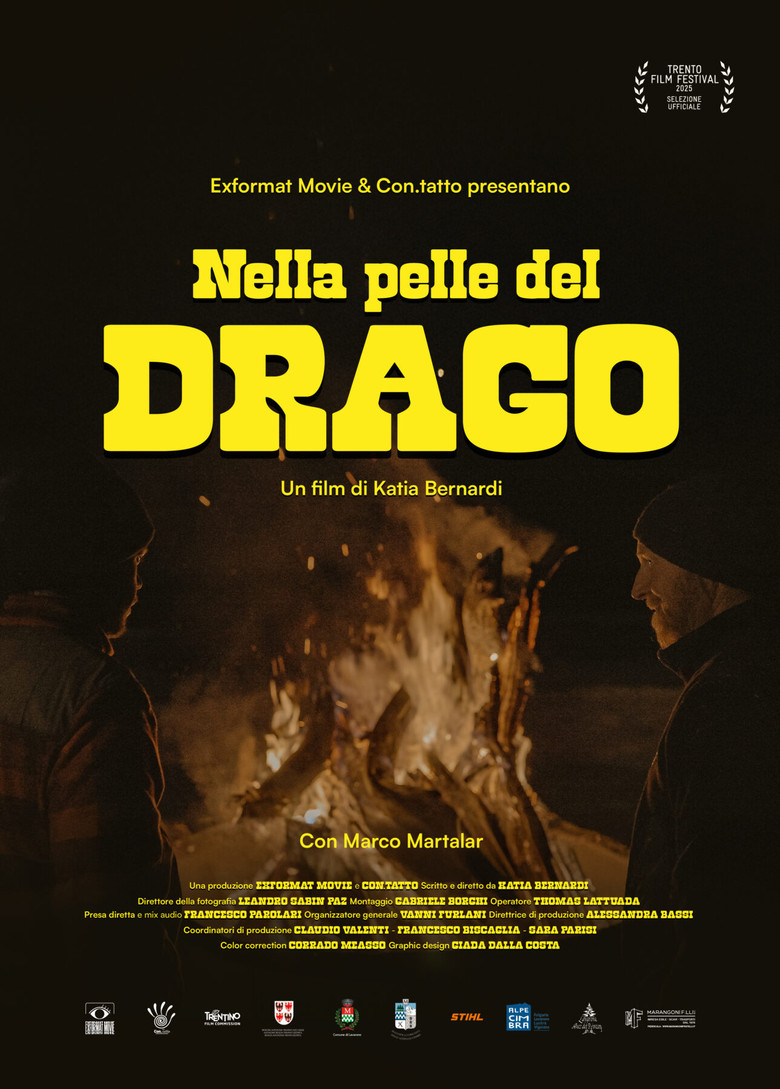 Nella Pelle del Drago poster background