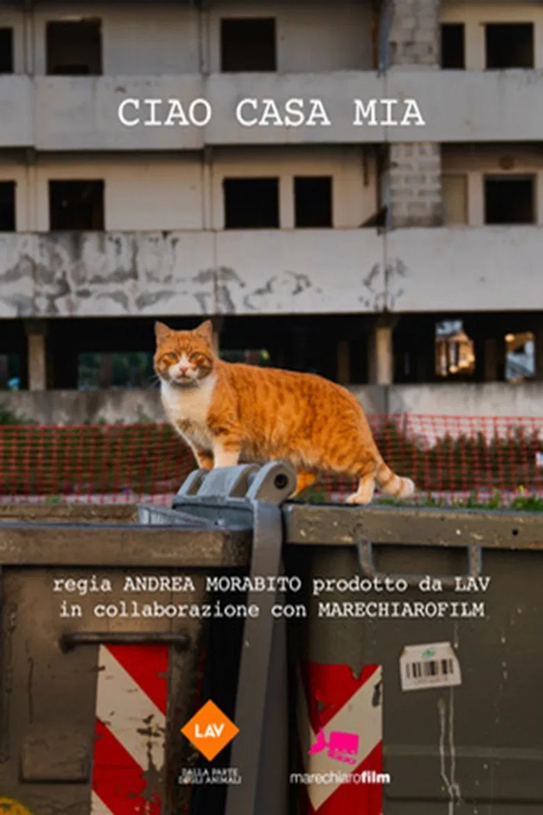 Ciao casa mia poster background