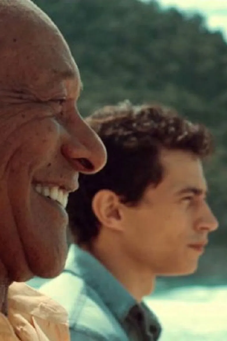 O Reencontro poster background