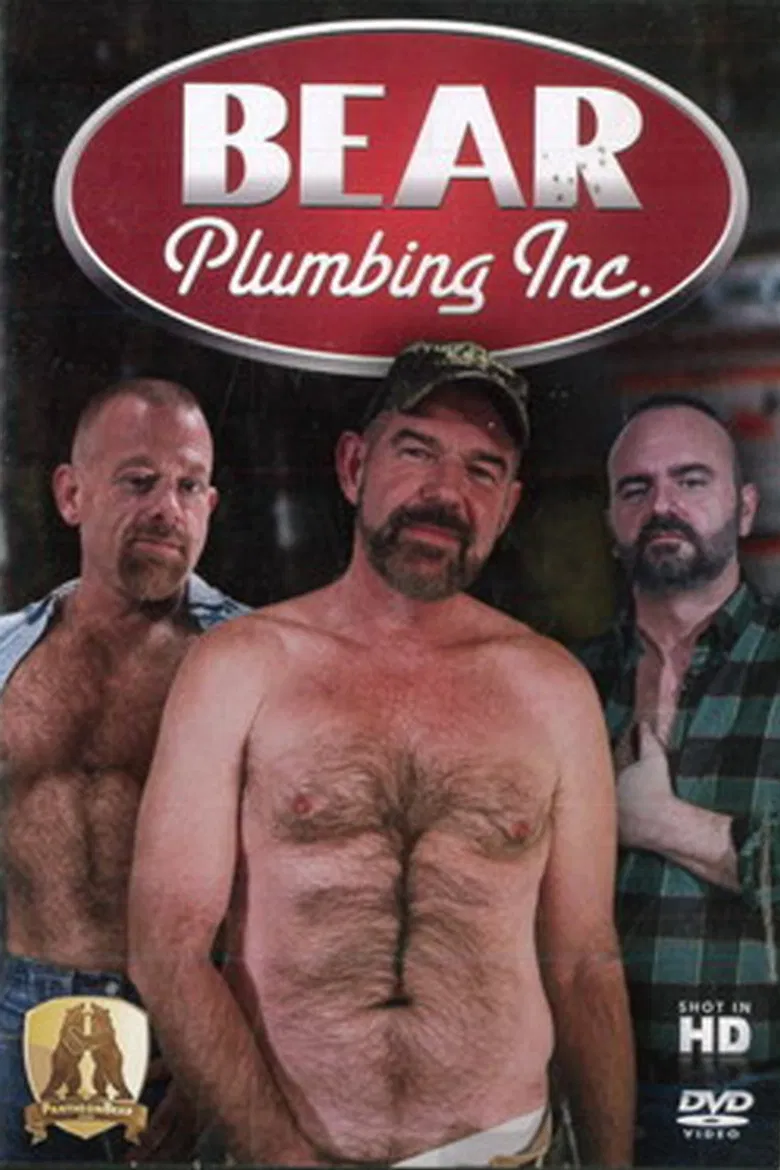 Bear Plumbing Inc. poster background
