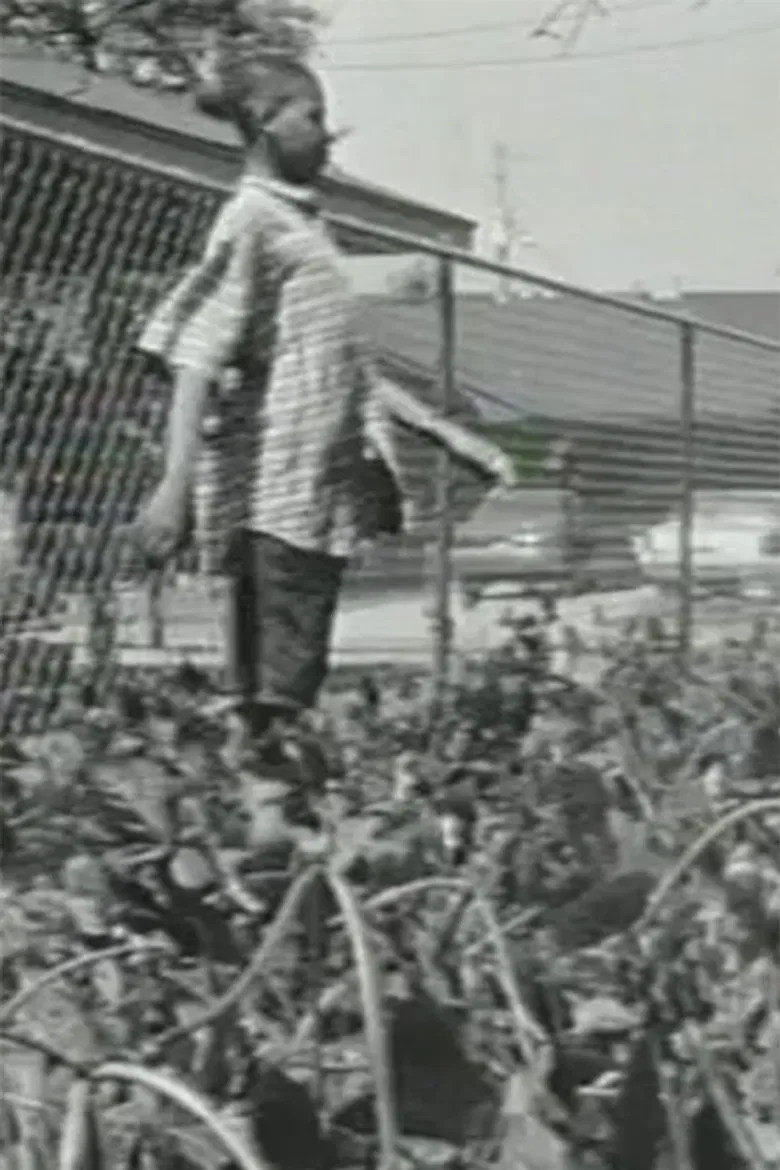 Imported poster background