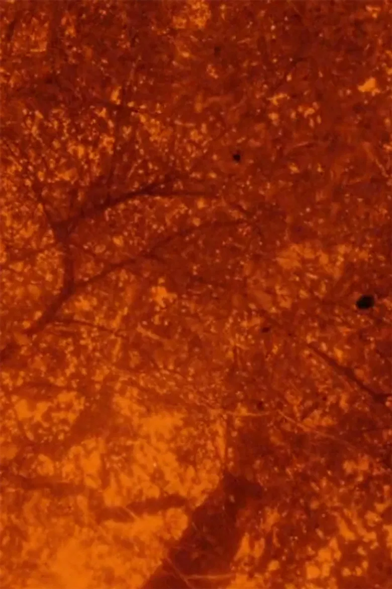 See Beneath the Static poster background