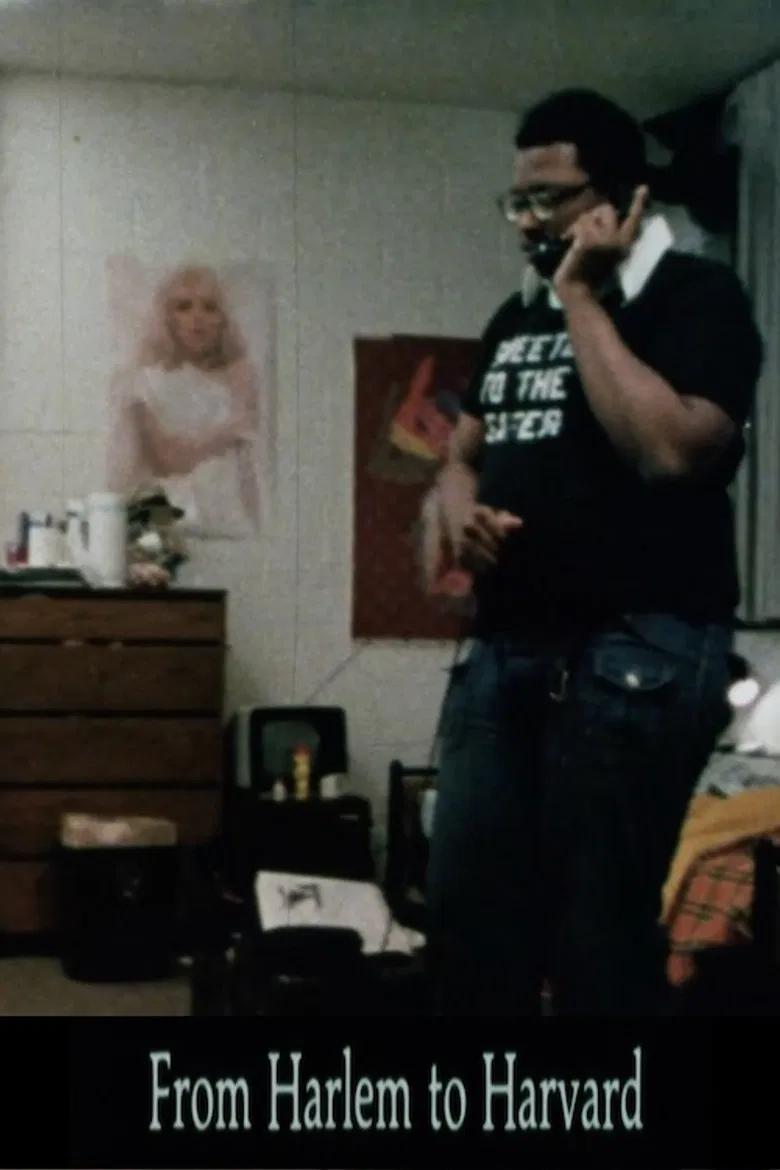 From Harlem to Harvard poster background