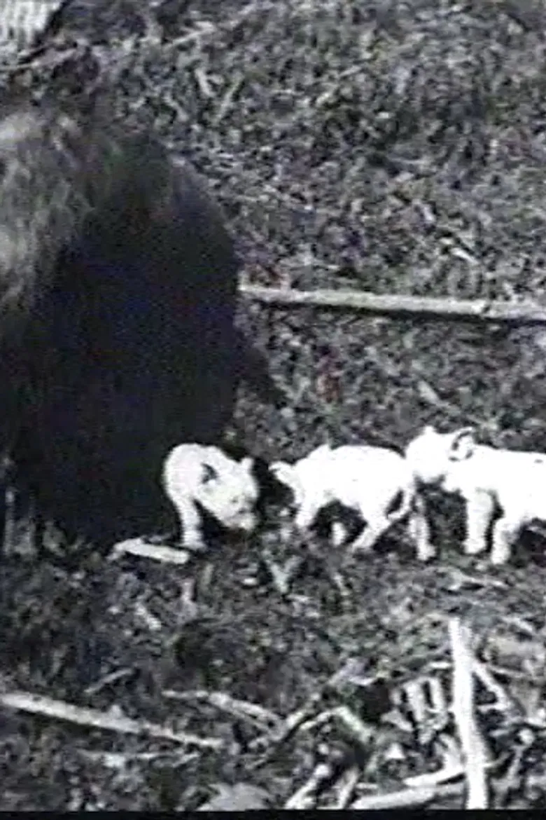 Mamma's Pets poster background