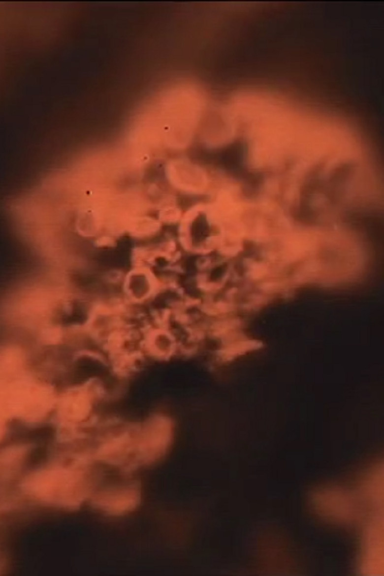 Notes from the Farm poster background