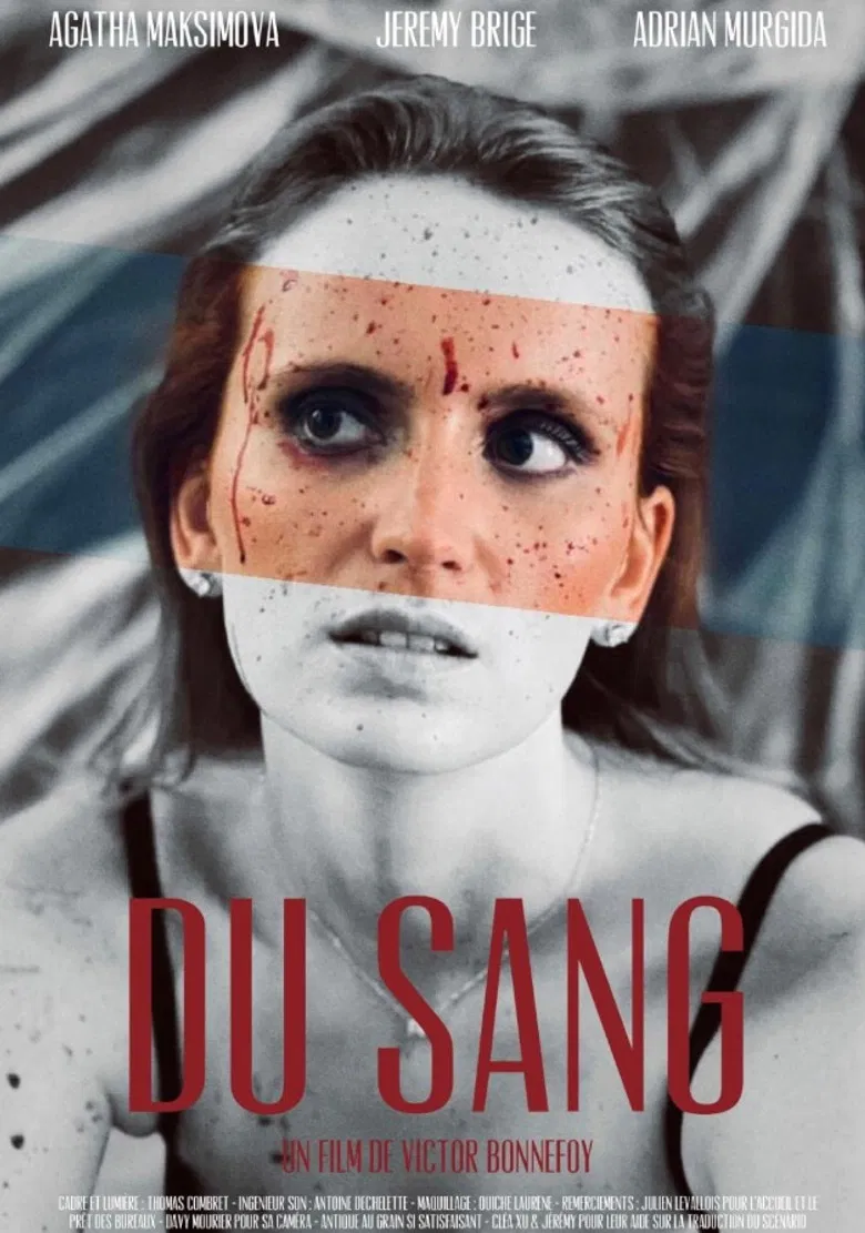 Du sang poster background