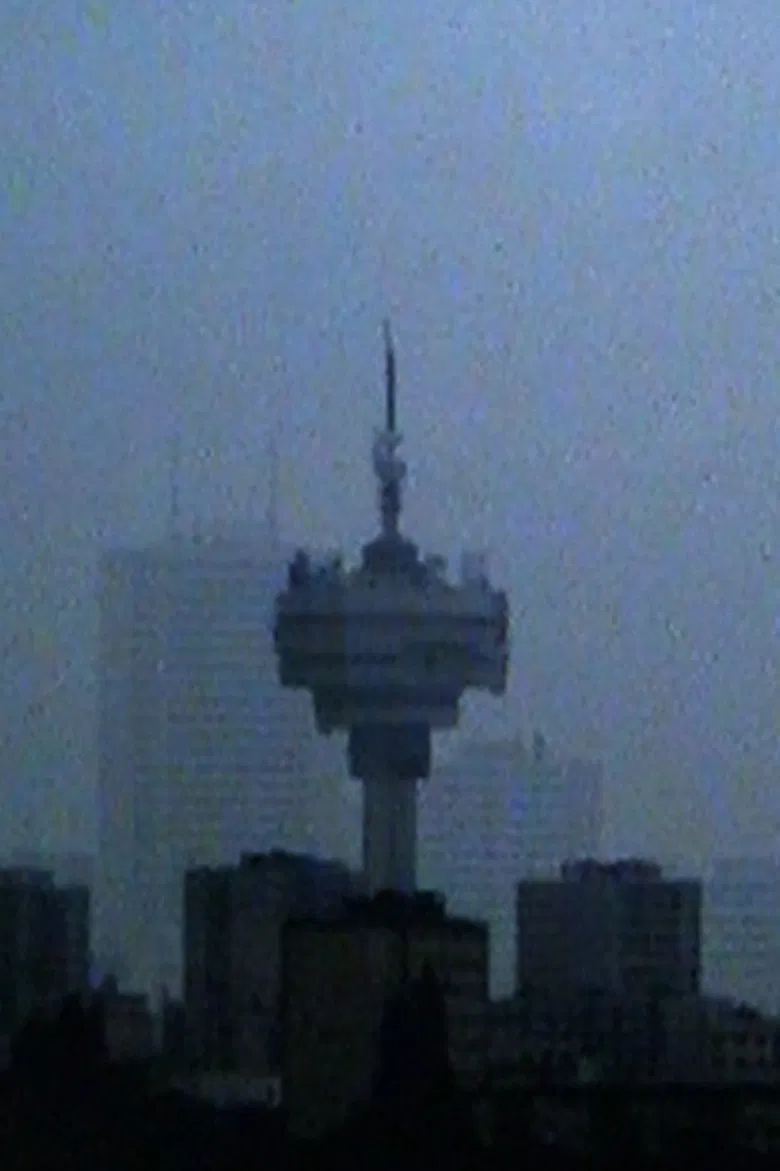 After Us, the Flood poster background