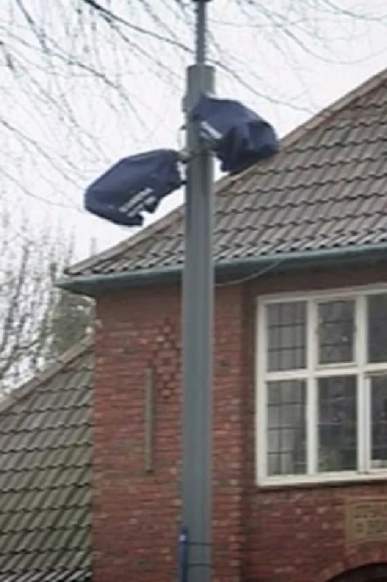 Defeat of the Champion poster background