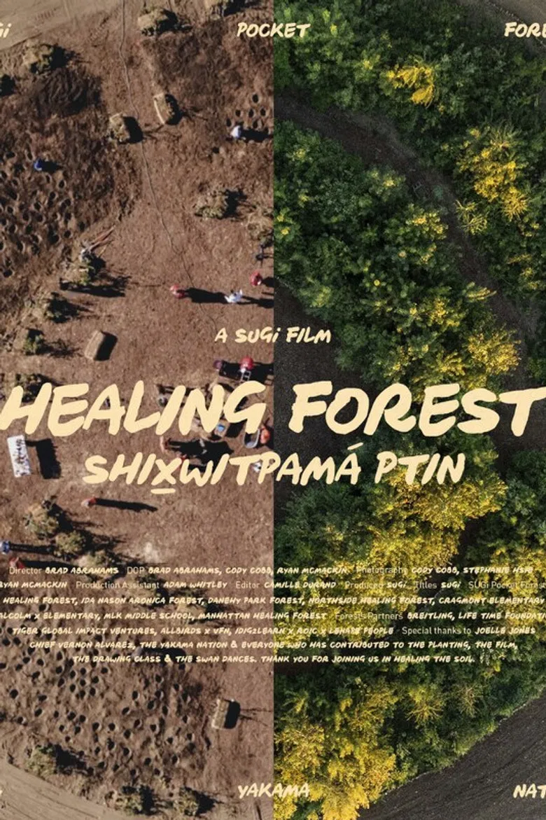 Healing Forest poster background