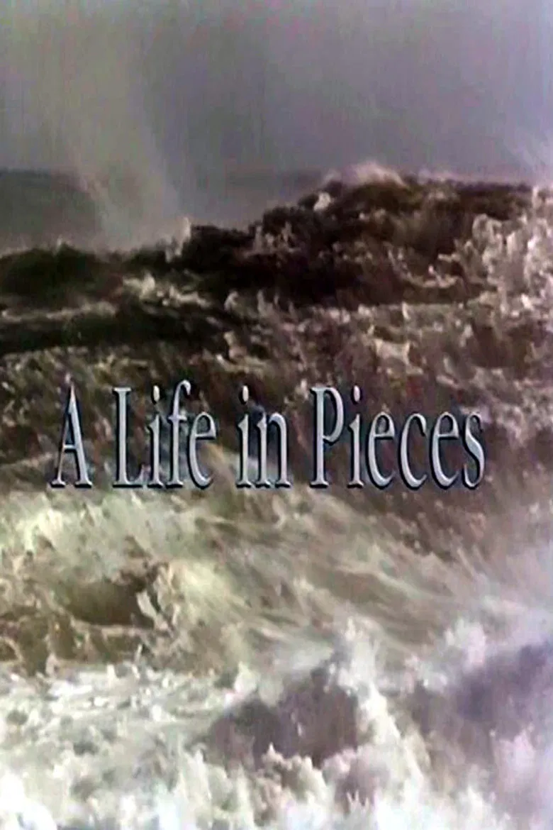 A Life In Pieces poster background