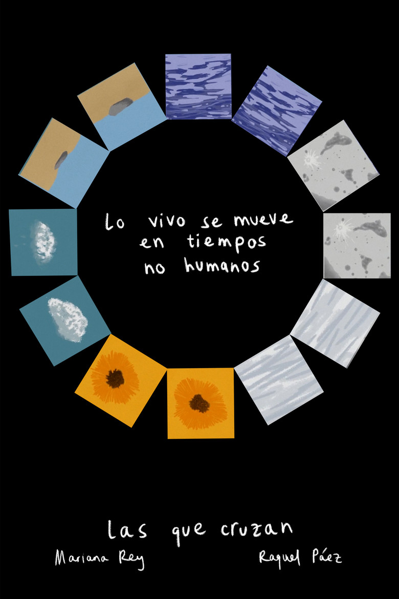 Lo vivo se mueve en tiempos no humanos poster background