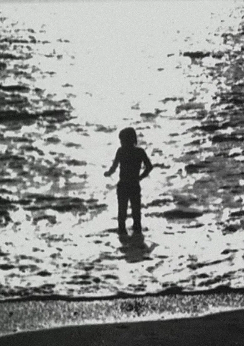 Mouches Volantes poster background