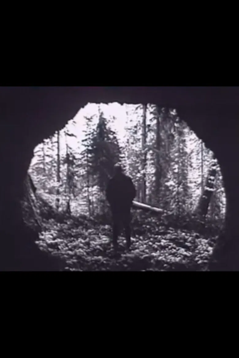 In the canyons of the river Berezovaya poster background