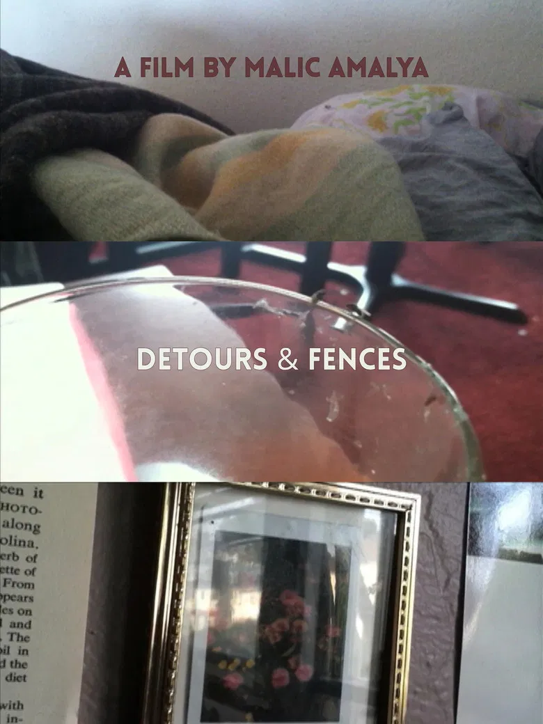 Detours and Fences poster background