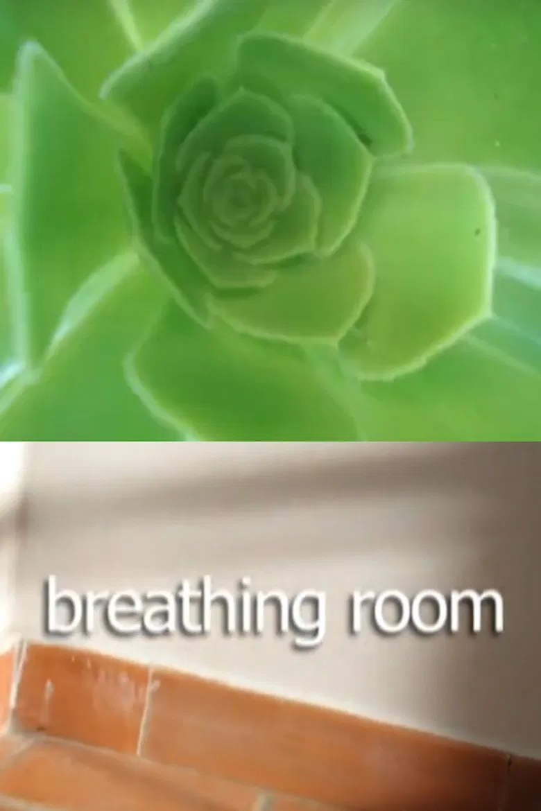 Breathing Room poster background