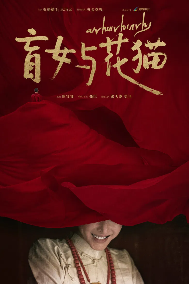 盲女与花猫 poster background