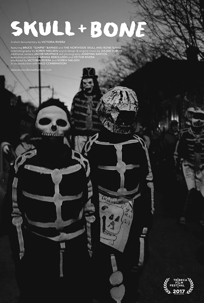 Skull + Bone poster background