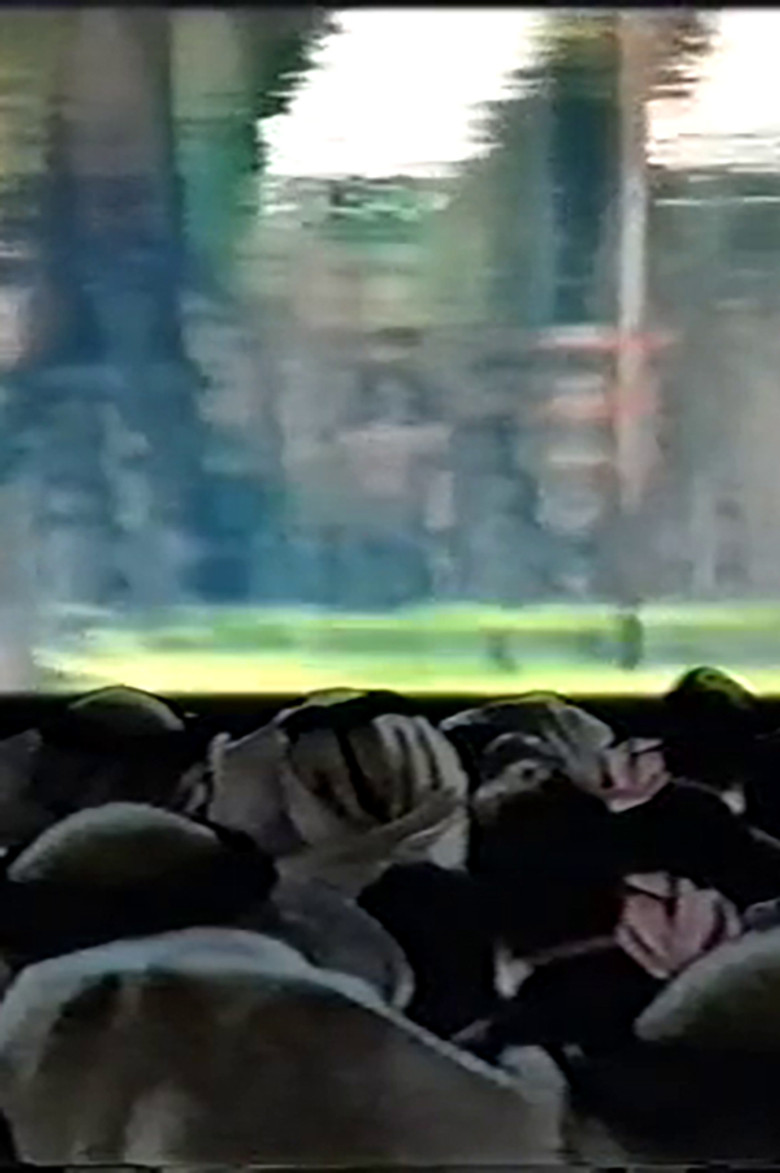 الجنس والمدينة poster background