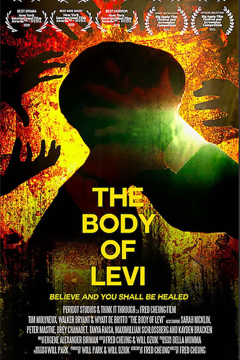The Body of Levi poster background