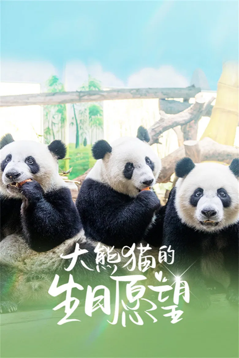 大熊猫的生日愿望 poster background