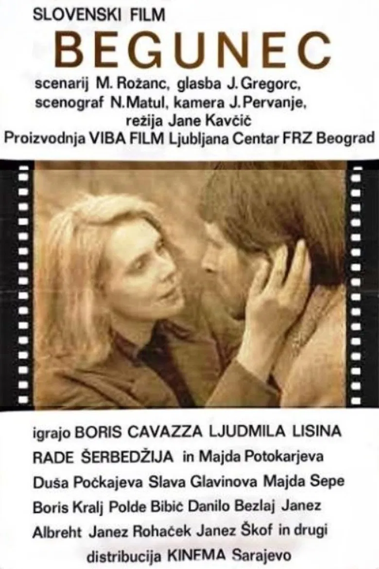 The Fugitive poster background